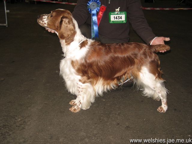 2009-11-14 04.jpg - Sh Ch Arkview Chicago At Llawkrik